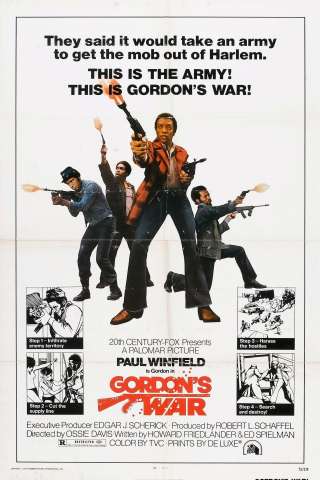 La guerra di Gordon (1973) streaming