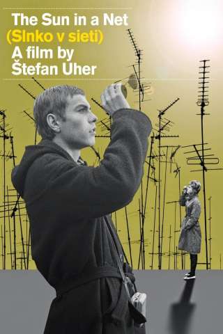 The Sun in a Net (1963) streaming