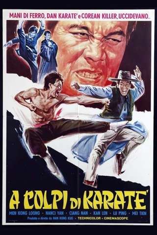 A colpi di karaté (1972) streaming