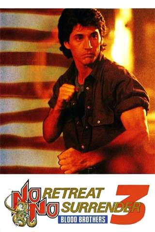 American Kickboxing (1990) streaming