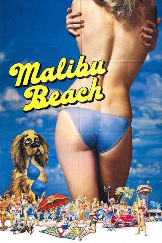 I ragazzi della spiaggia di Malibu (1978) streaming