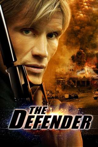 The Defender (2004) streaming