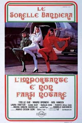 L'importante è non farsi notare (1979) streaming
