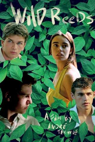 L'età acerba (1994) streaming