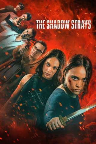The Shadow Strays (2024) streaming