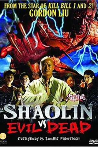 Shaolin contro i mostri diabolici (2004) streaming