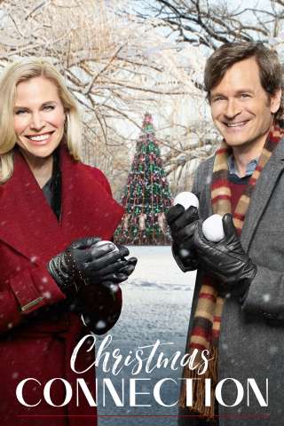 Connessione d'amore (2017) streaming