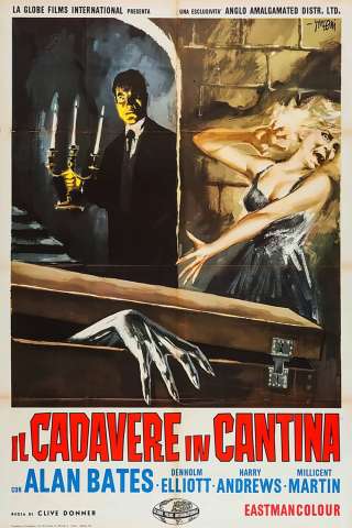Il cadavere in cantina (1964) streaming