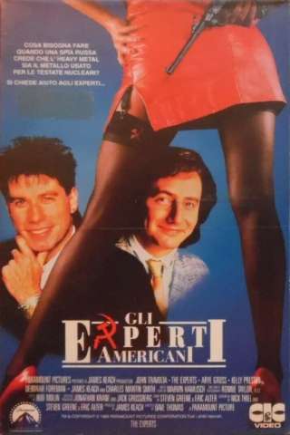 Gli esperti americani (1989) streaming