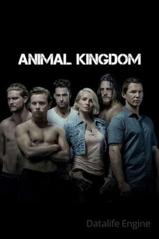 Animal Kingdom (2016 - In Lavorazione) streaming