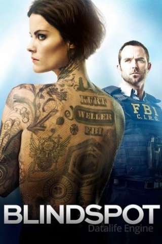 Blindspot (2015 - In Lavorazione) streaming
