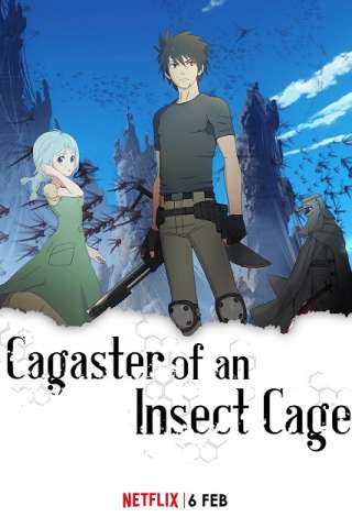 Cagaster of an Insect Cage (2020 - In Lavorazione) streaming