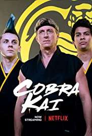 Cobra Kai (2018 - In Lavorazione) streaming