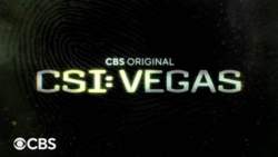 CSI: Vegas (2021) (2021 - In Lavorazione) streaming
