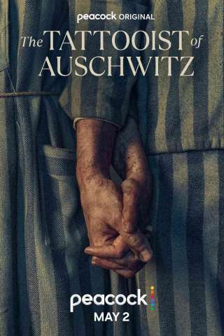 Il tatuatore di Auschwitz (2024 - In Lavorazione) streaming