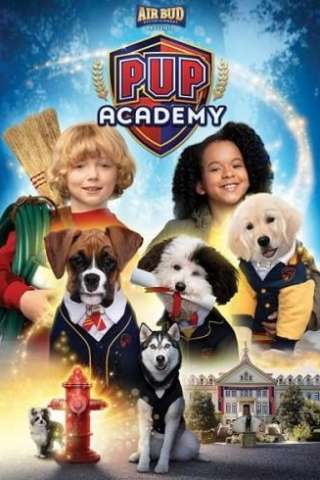 L'accademia dei cuccioli - Pup Academy (2020 - In Lavorazione) streaming