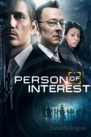 Person of Interest (2011 - Conclusa) streaming