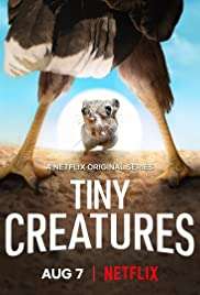 Piccole Creature (2020 - In Lavorazione) streaming