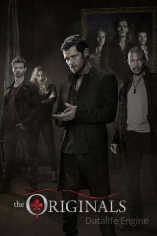 The Originals (2013 - In Lavorazione) streaming