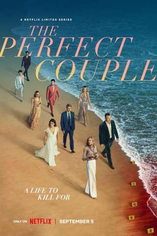 The Perfect Couple (2024 - In Lavorazione) streaming