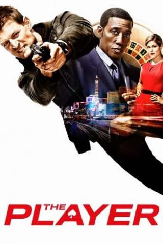 The player (2015 - Conclusa) streaming