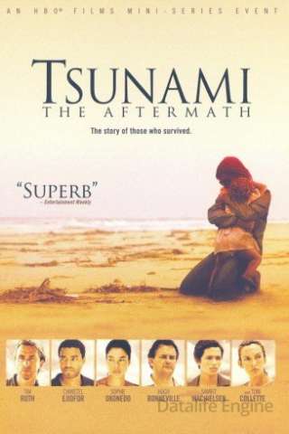 Tsunami - Il giorno dopo (2006 - In Lavorazione) streaming
