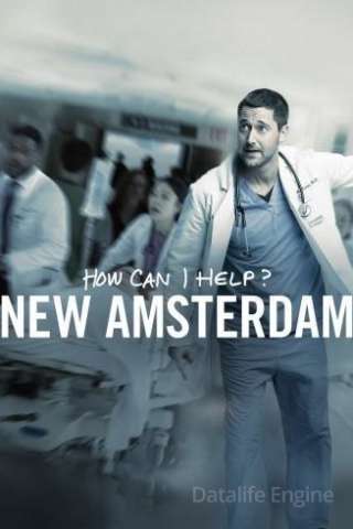 New Amsterdam (2018 - In Lavorazione) streaming