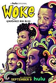 Woke (2020 - In Lavorazione) streaming