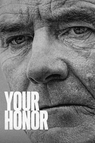 Your Honor (2020 - In Lavorazione) streaming