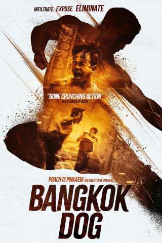 Bangkok Dog (2024) streaming
