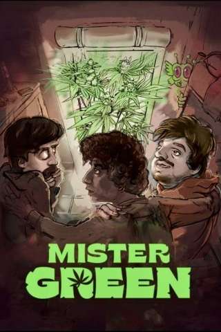 Mister green (2024) streaming