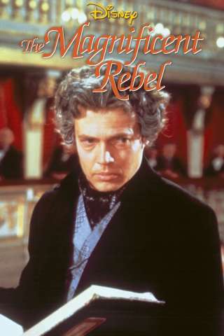 Il magnifico ribelle (1961) streaming