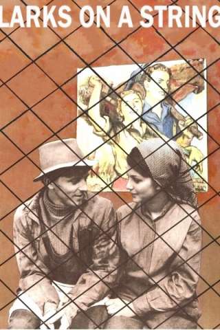 Allodole sul filo (1990) streaming