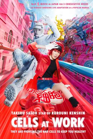 Cells at Work! - Lavori in corpo (2024) streaming