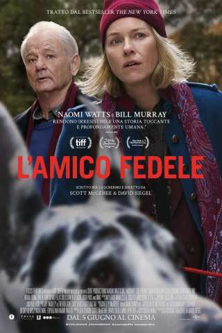 L'amico fedele (2025) streaming