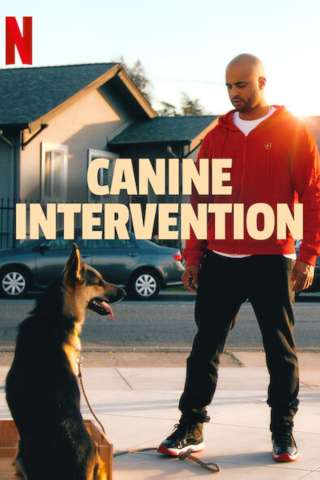 Canine Intervention (2021) streaming